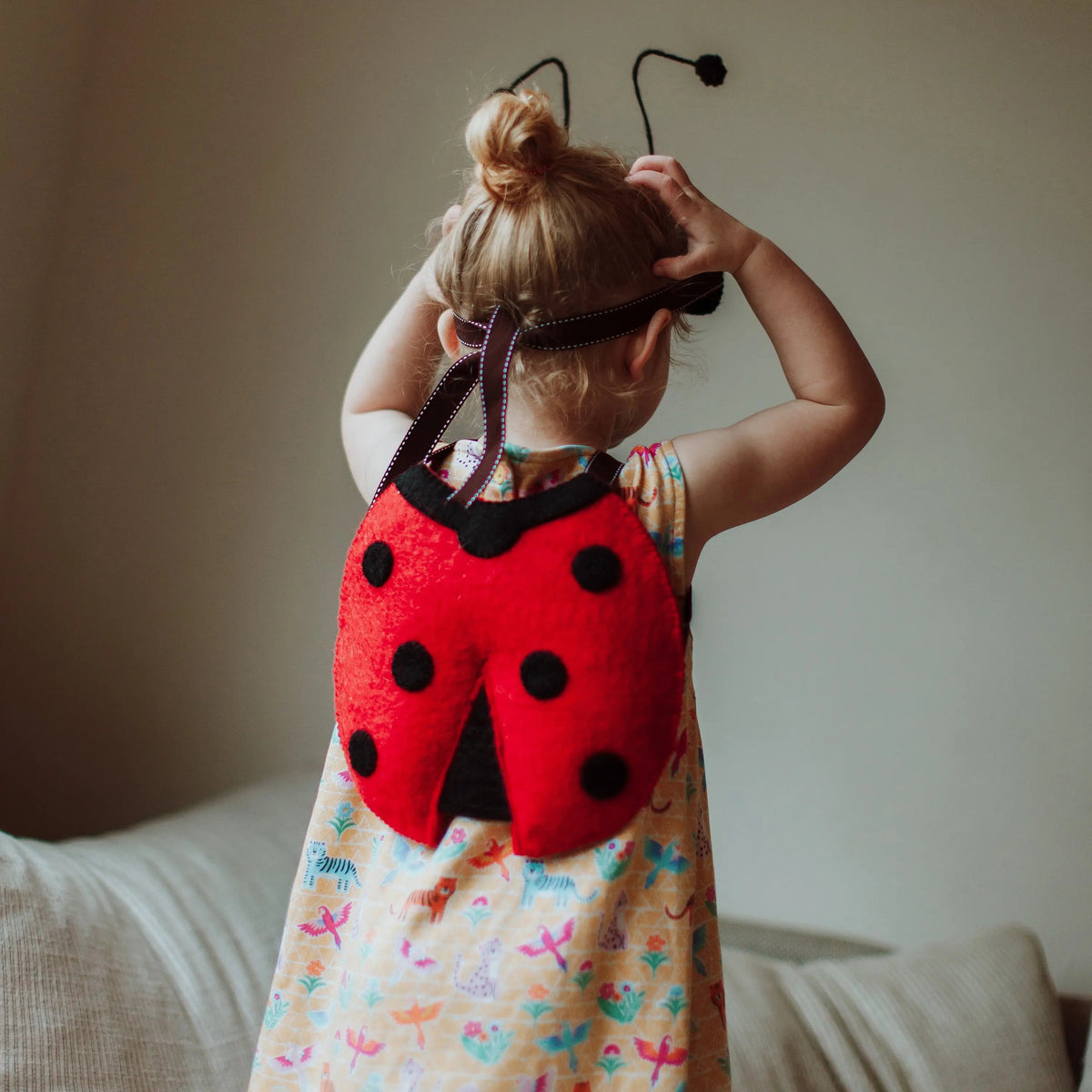 Louise Ladybird Dress Up