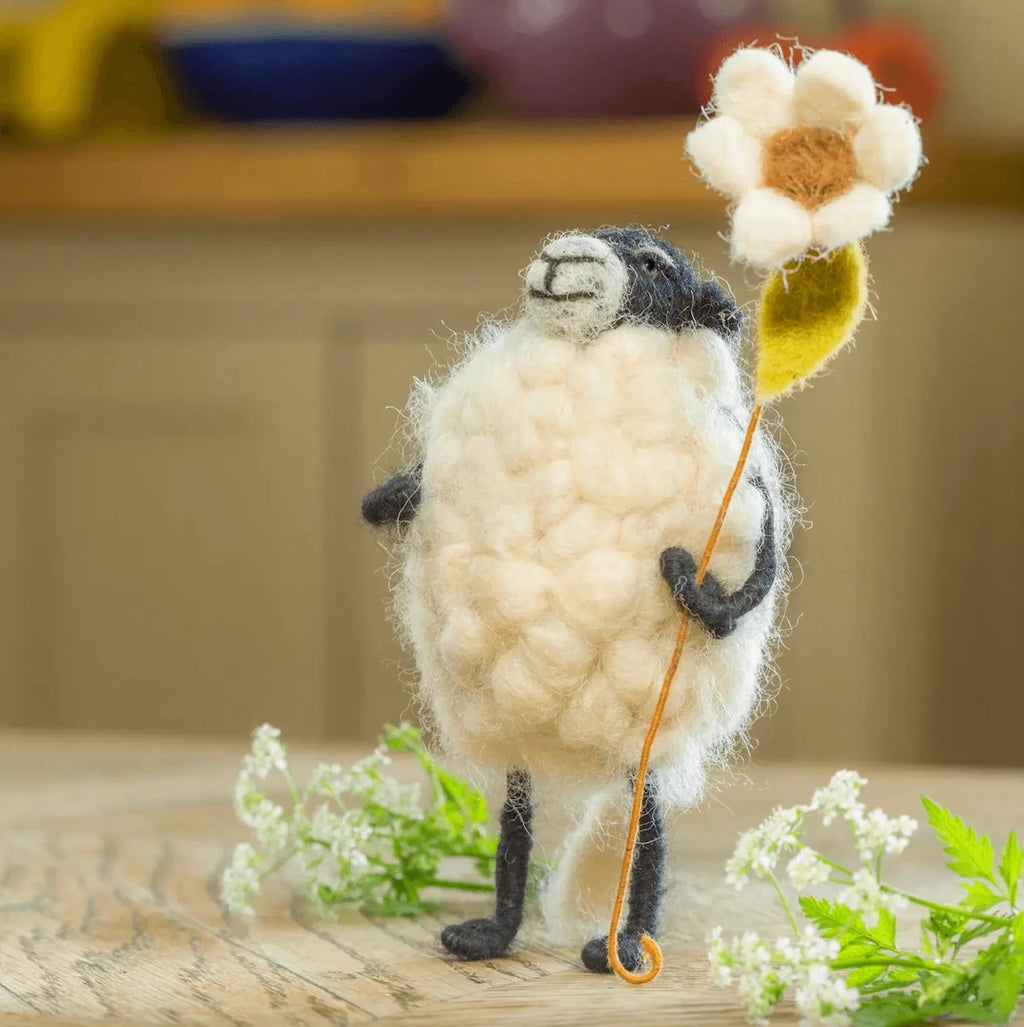 Barbara Sheep Flower