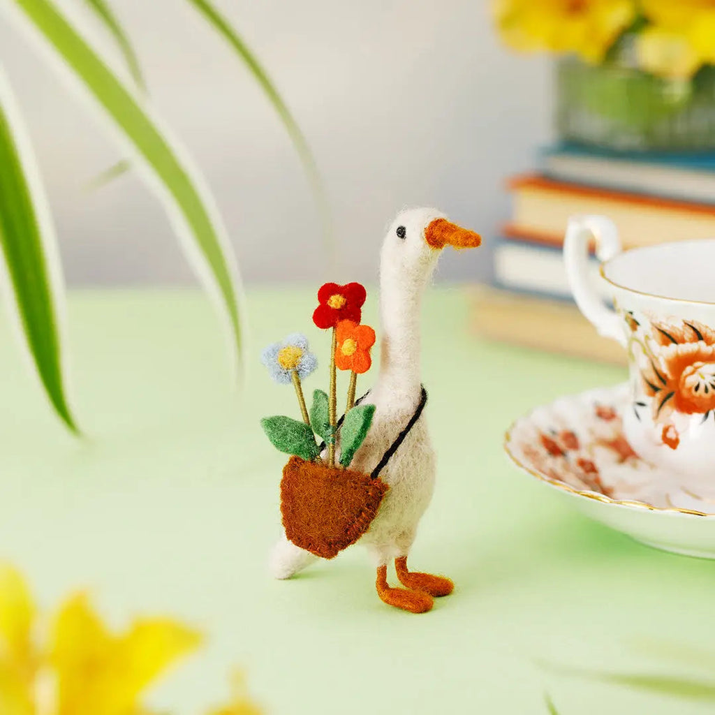 Daphne Duck