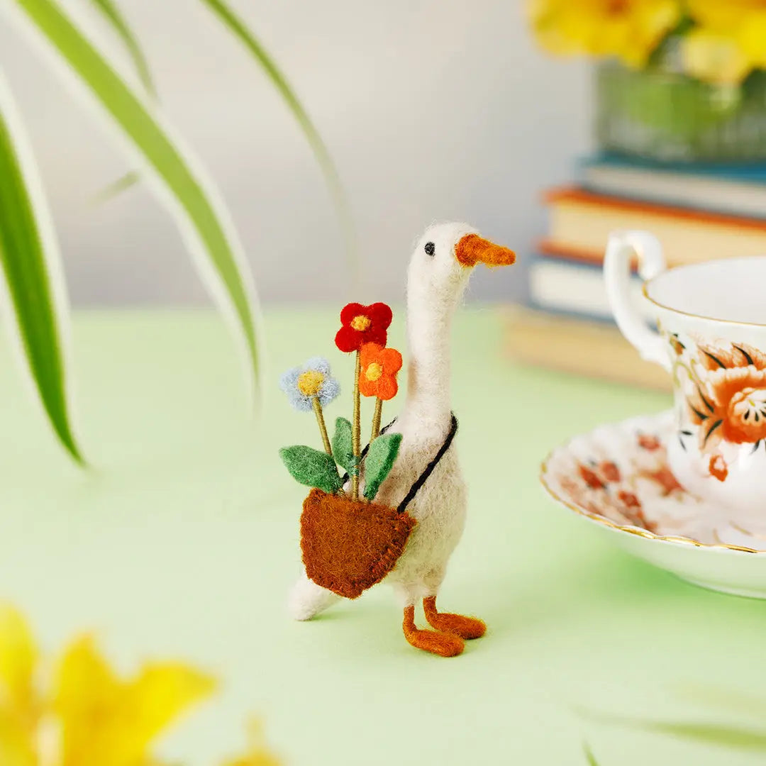 Daphne Duck