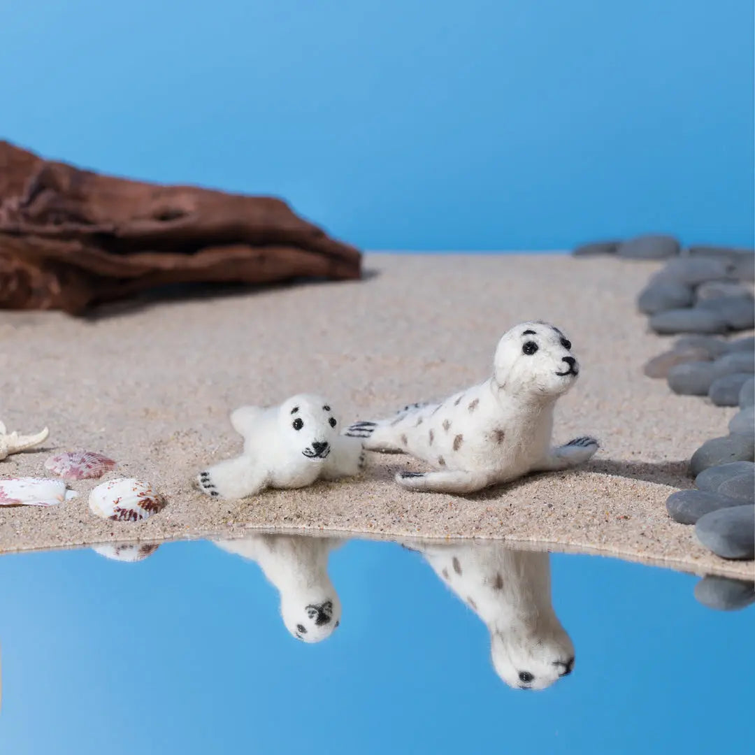 Sandy Seal Pair