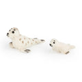 Sandy Seal Pair