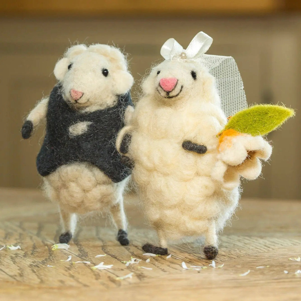 Bride Groom Wedding Sheep