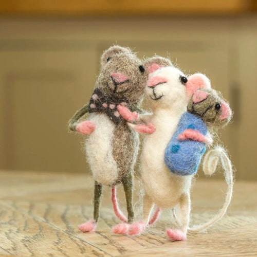 Baby Boy Family Mice