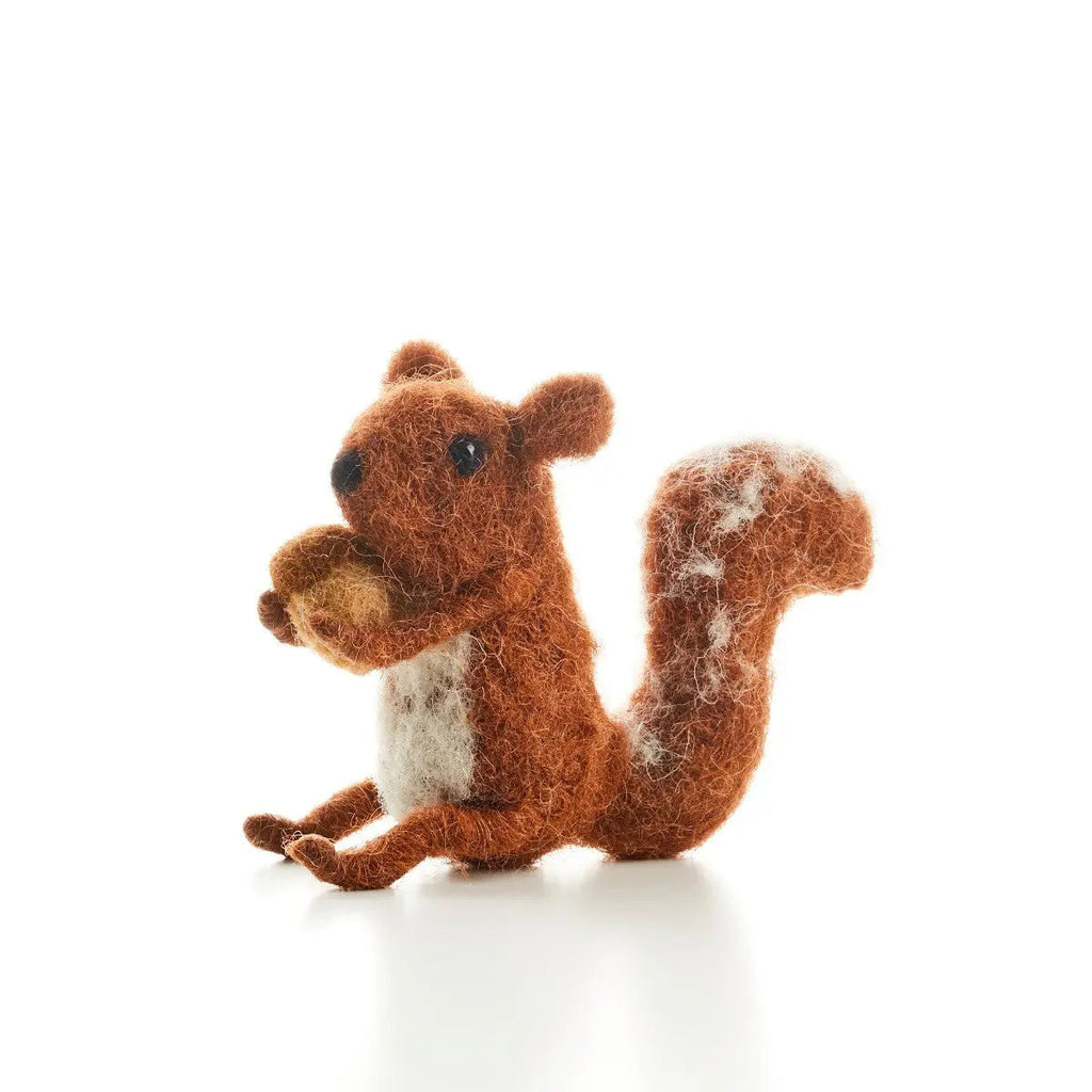 Baby Squirrel