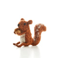 Baby Squirrel